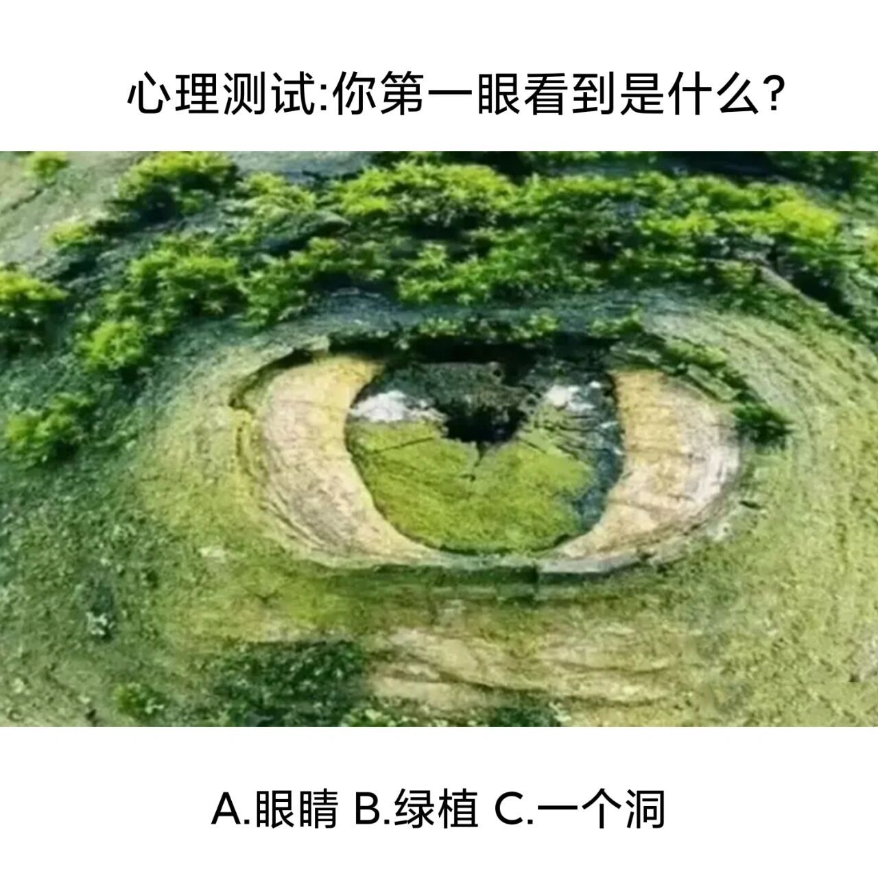 心理测试:你第一眼看到是什么? 你的测试题答案是什么?