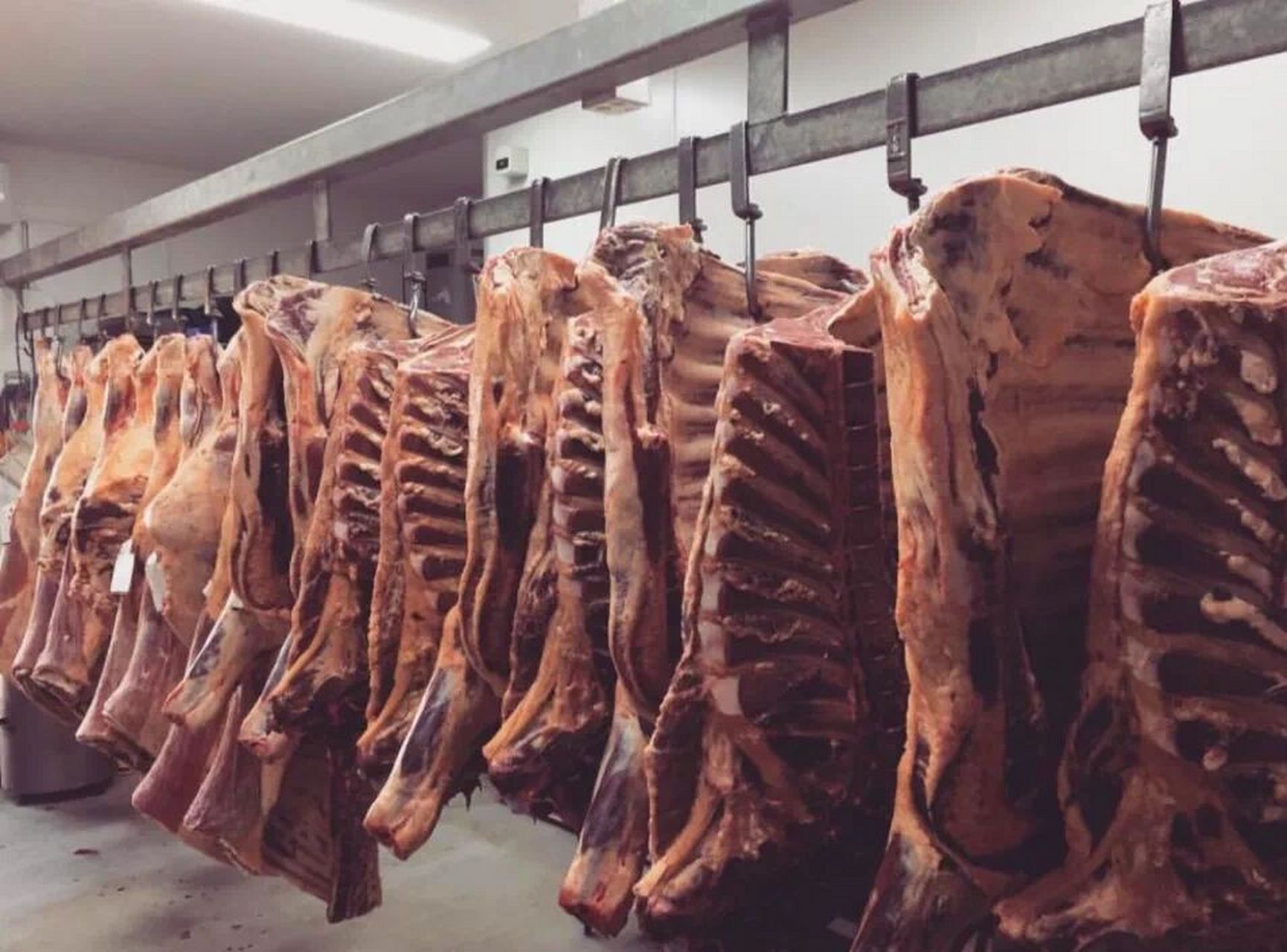 工厂是怎么给牛肉"排酸"的呢?