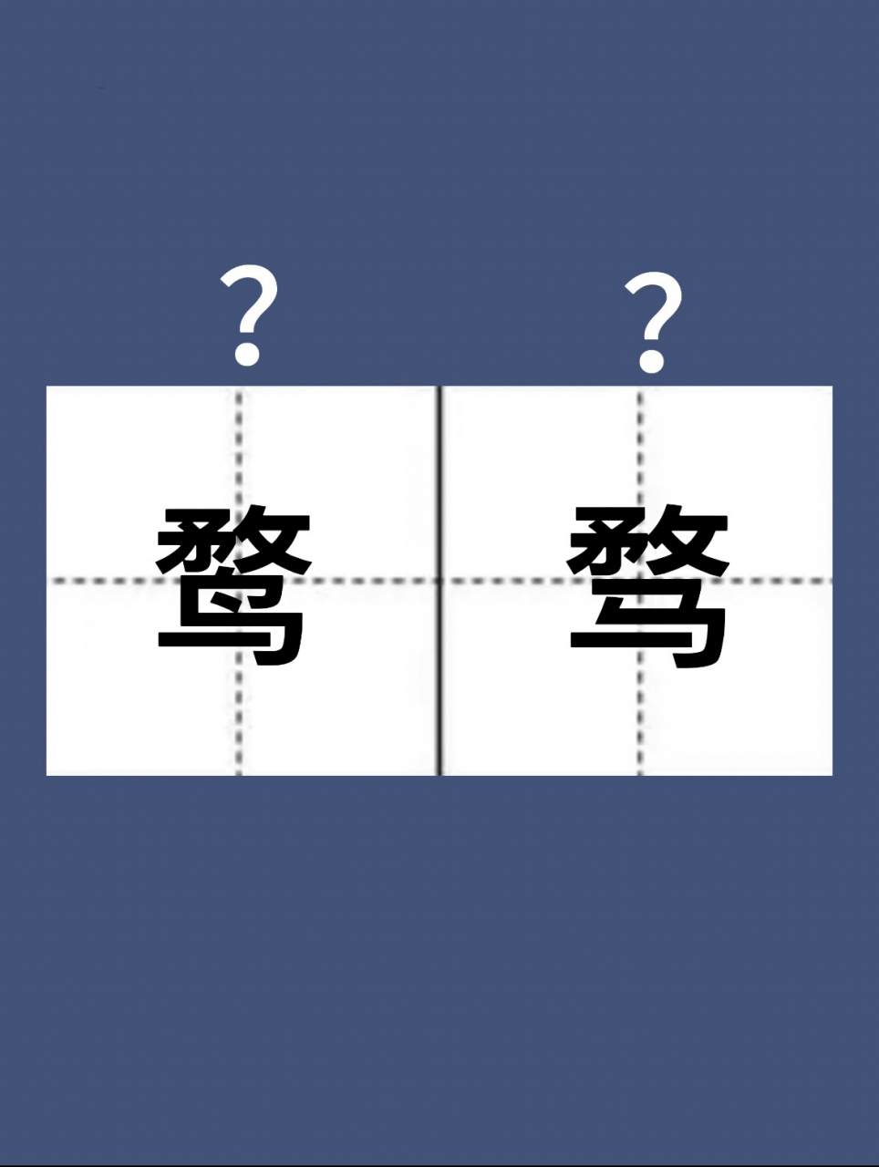 这俩字你读对了吗|鹜骛