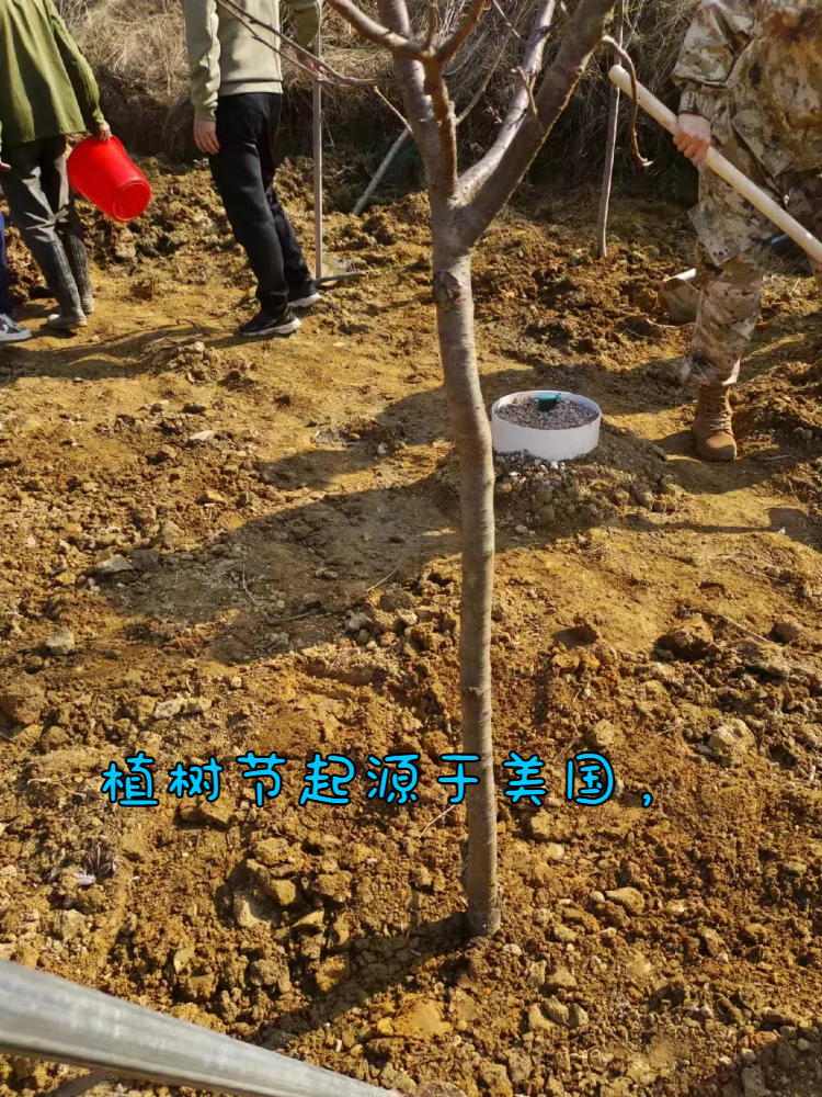 植树节起源于美国,为激发人们爱林,造林的感情,促进国土绿化,保护