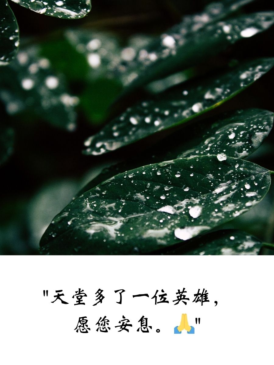"父亲,您的步履永远印在我们心中." 2.
