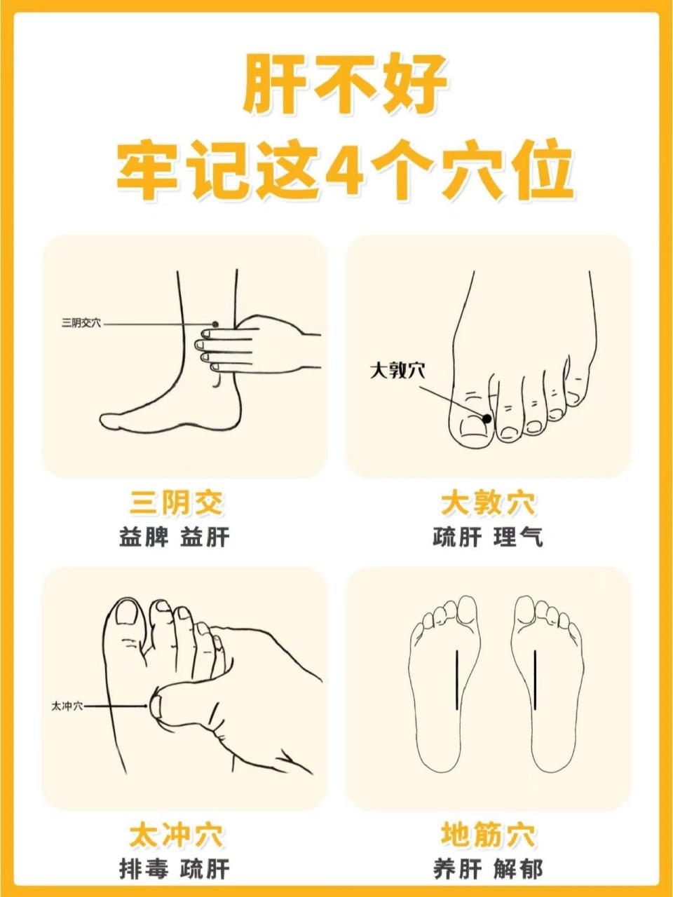 肝的位置图 按压图片