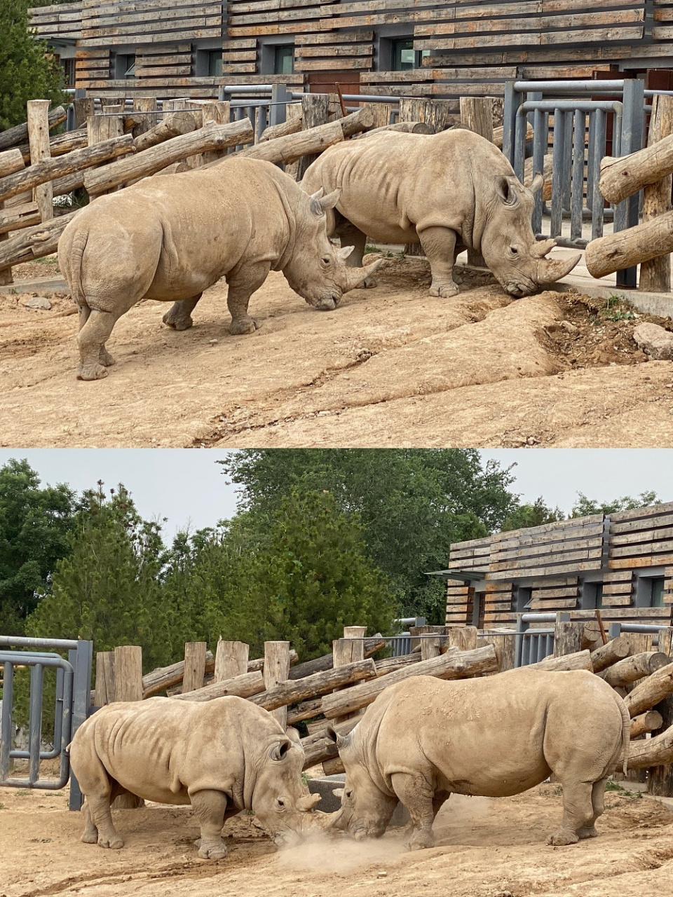 山西周邊遊|太原動物園週末遛娃遊玩攻略 2018年開放,佔地達2000餘畝