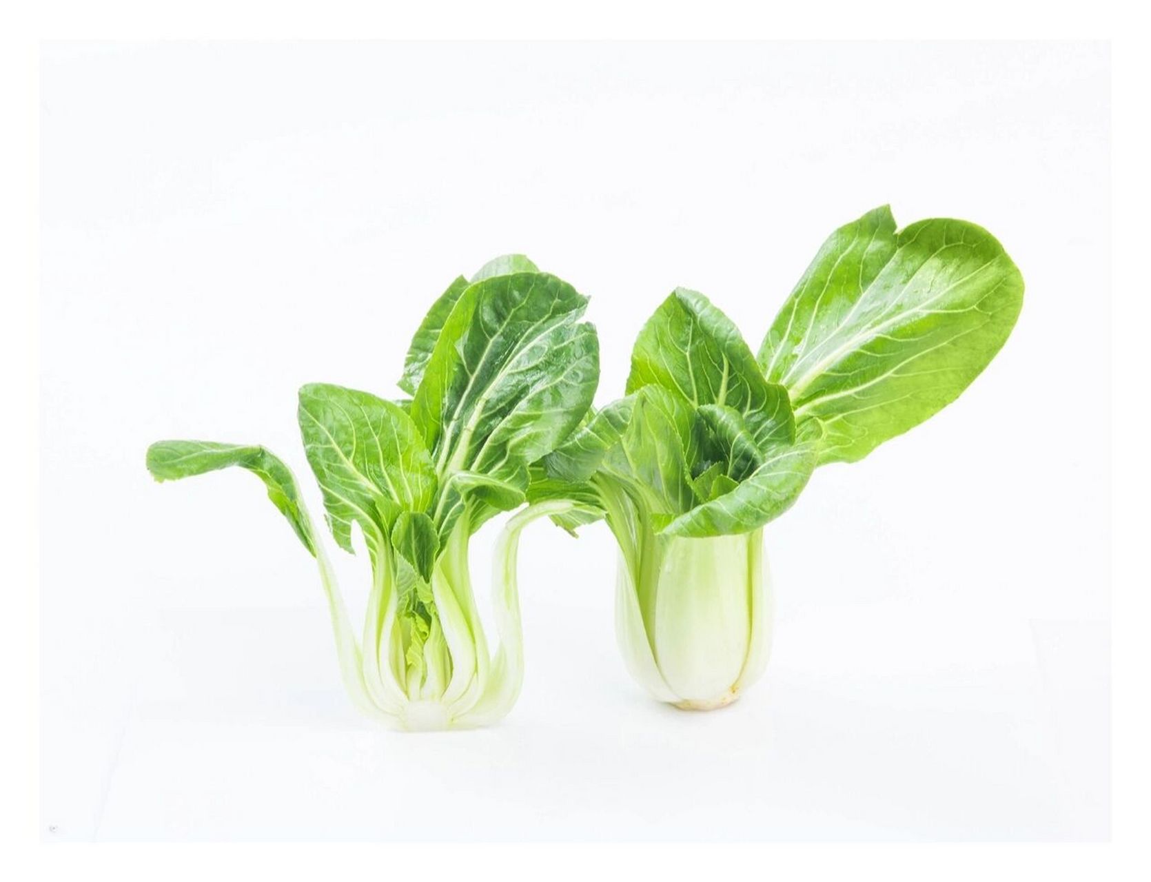 静物摄影丨瓢儿白,附拍摄思路 今天分享的是瓢儿菜