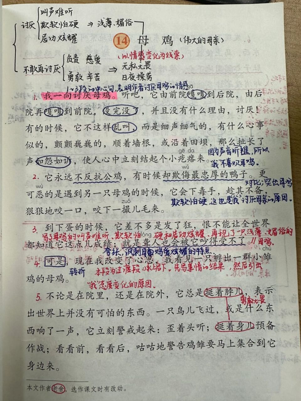 46615下备课笔记/《母鸡》94 #四年级下册语文# #小学语文备课