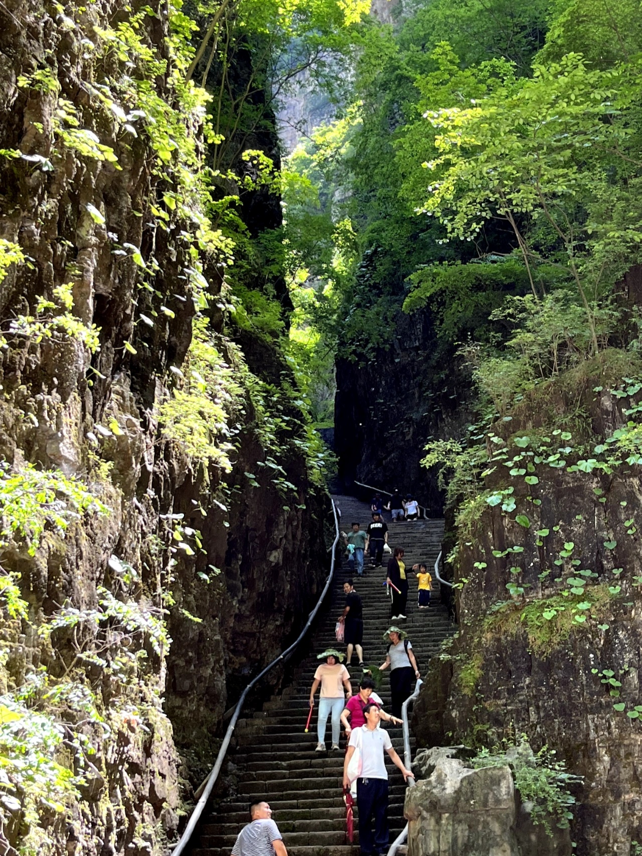 917野三坡旅游专线图片