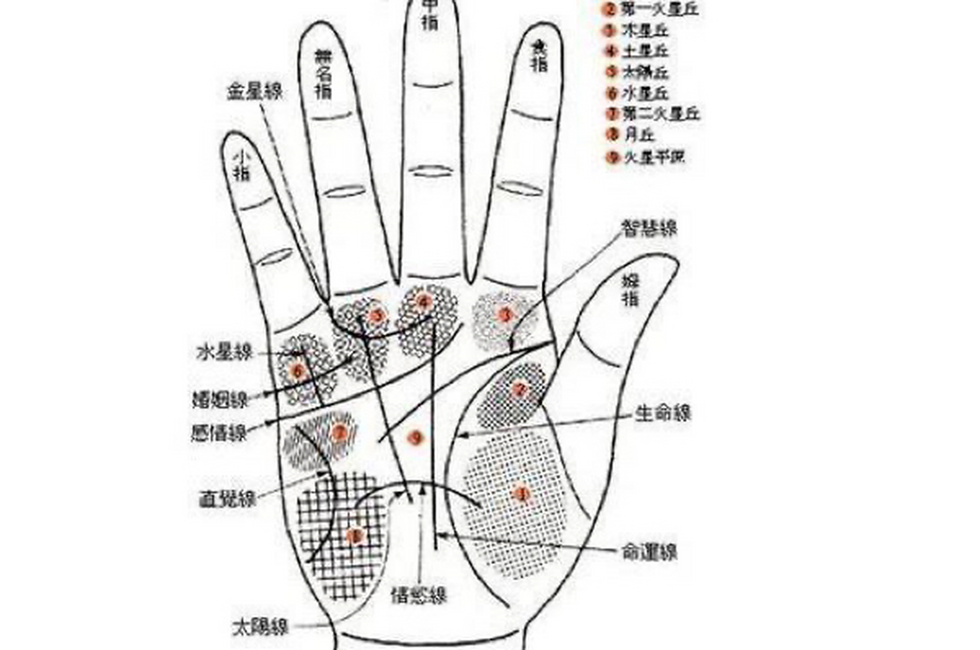 快来对照看看自己 手相诀,教你如何看手相! 1.