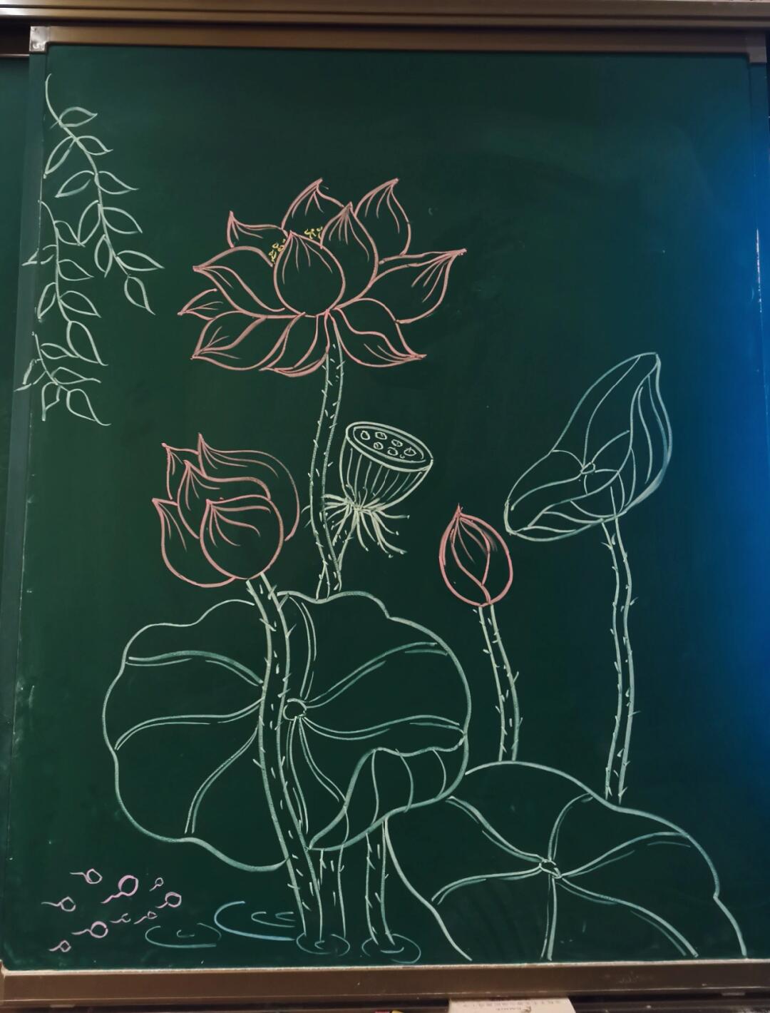 粉笔画——荷花