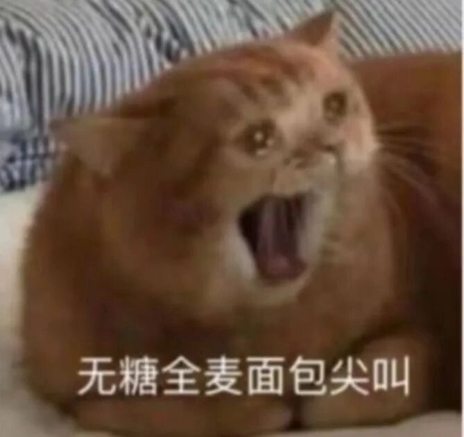 猫猫表情|全麦尖叫