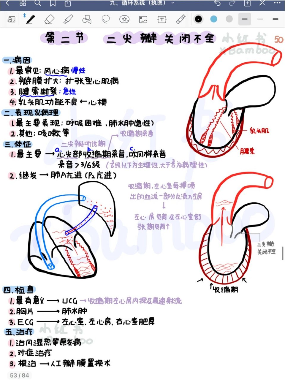 二尖瓣瓣环图图片