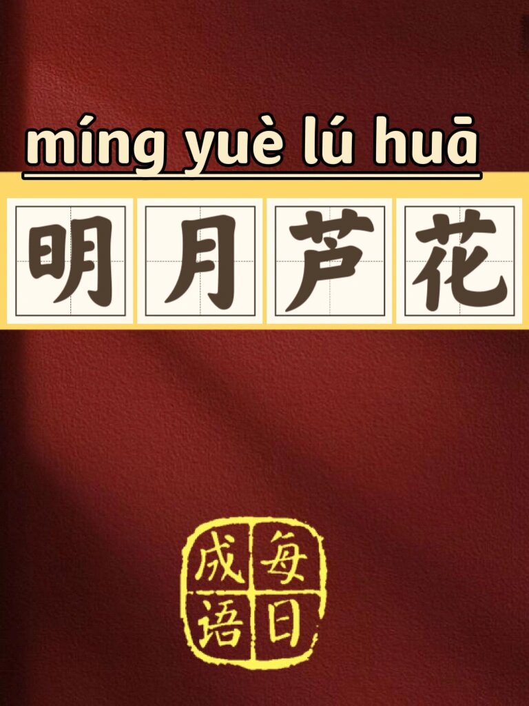 99每日成语【明月芦花】-57 95拼音:『míng yuè lú huā』
