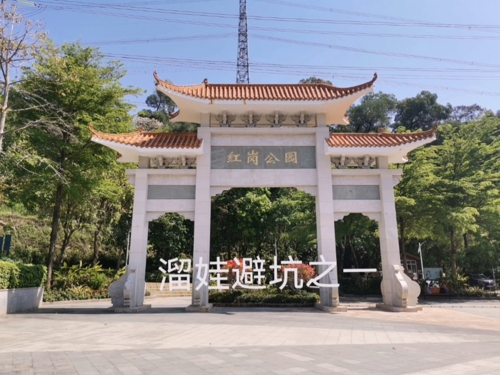 深圳红岗公园图片