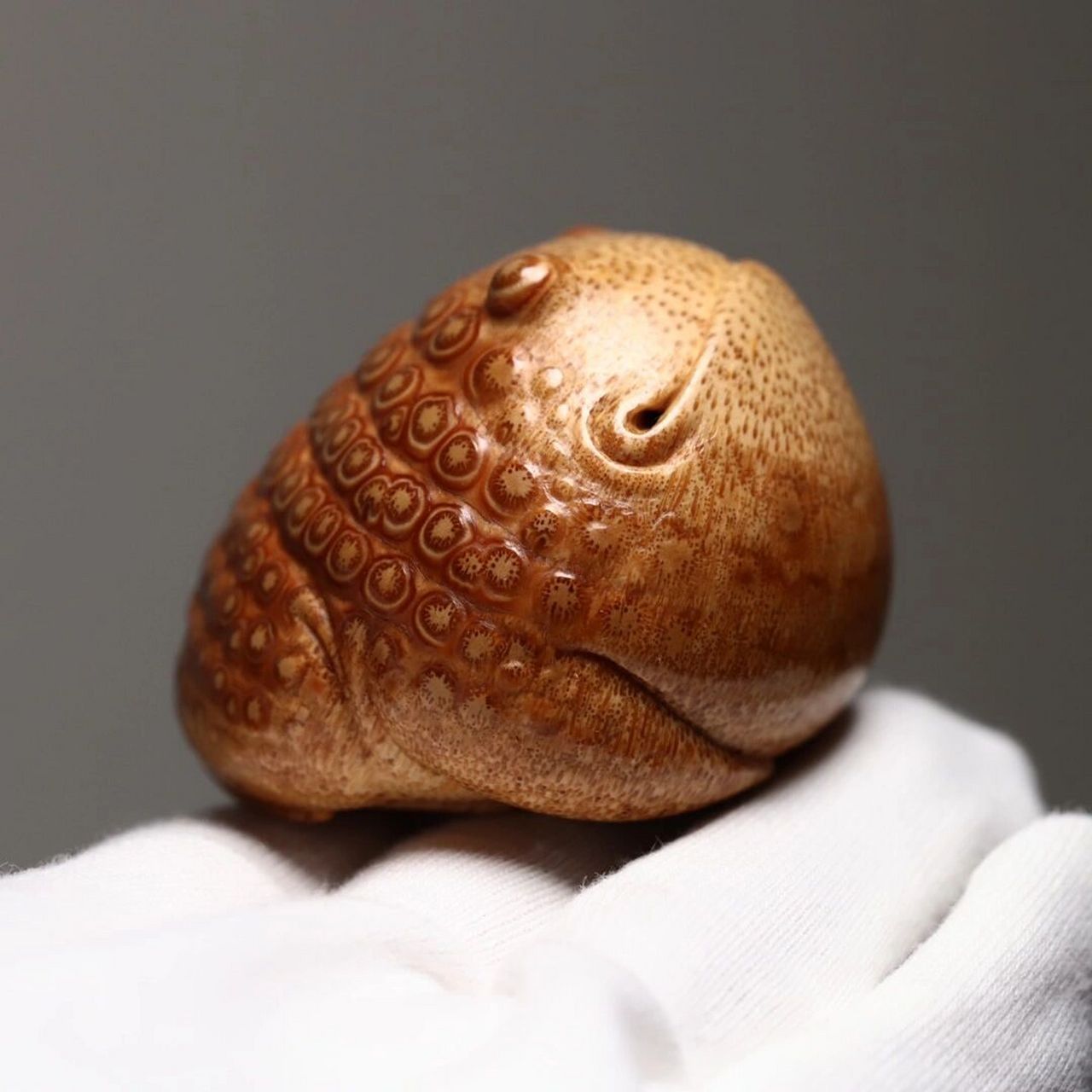 山宁竹舍 瓷光满面地包天竹根雕金蟾把件 竹根雕|地包天金蟾 .