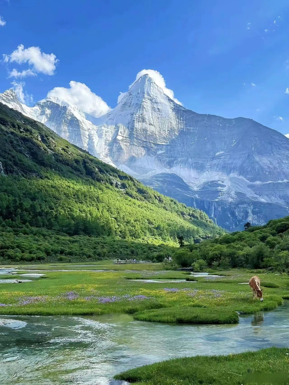 九寨沟附近雪山图片