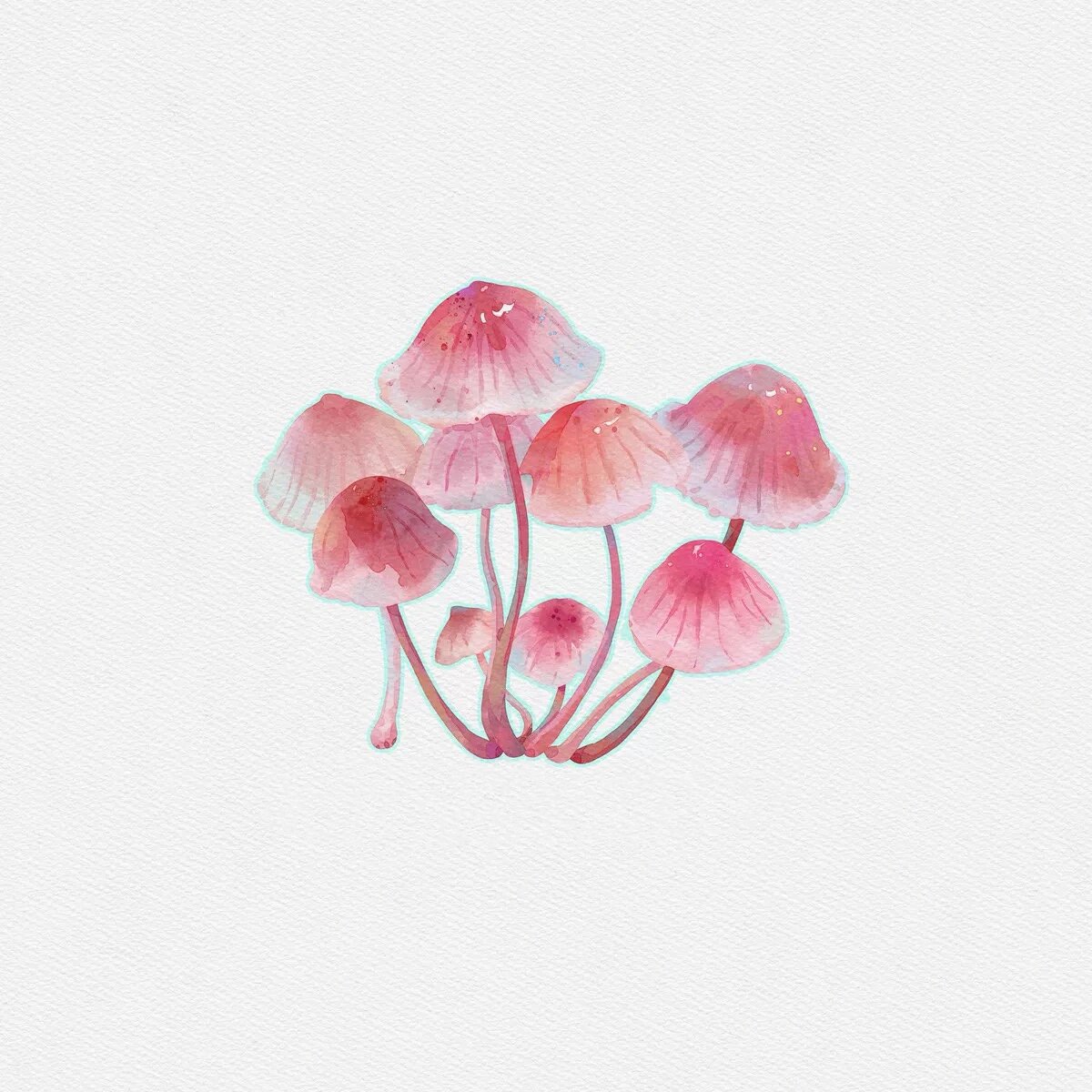 《蘑菇合集》水彩插画