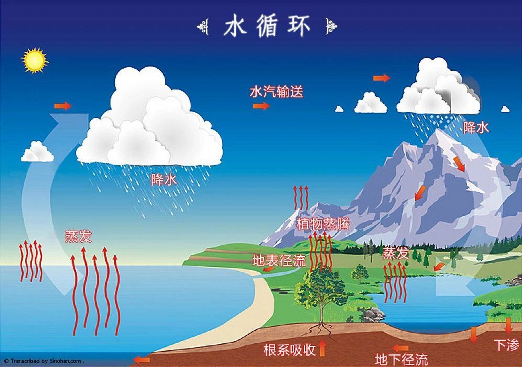 自然养育|自然界的循环7515之"水循环" 自然养育|水循环演示