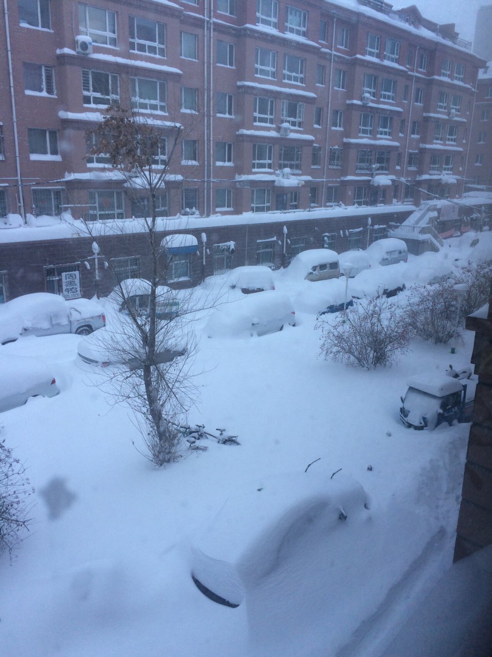 黑龙江暴雪 坐标黑龙江省佳木斯市富锦,三十多岁了第一次见到这么大雪
