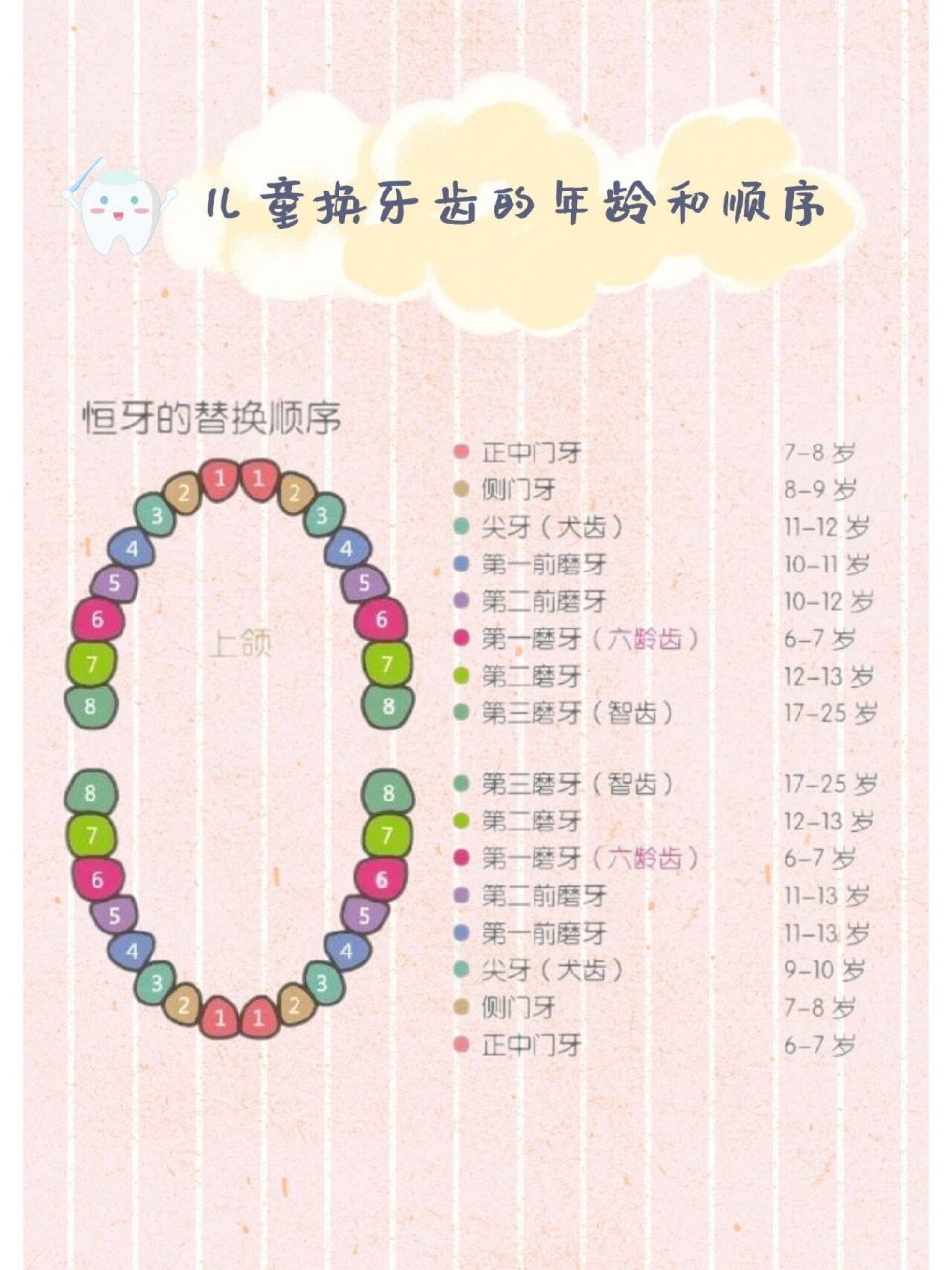 儿童换牙的年龄和换牙顺序 一口好牙受用一生,在日益精细化饮食的今天