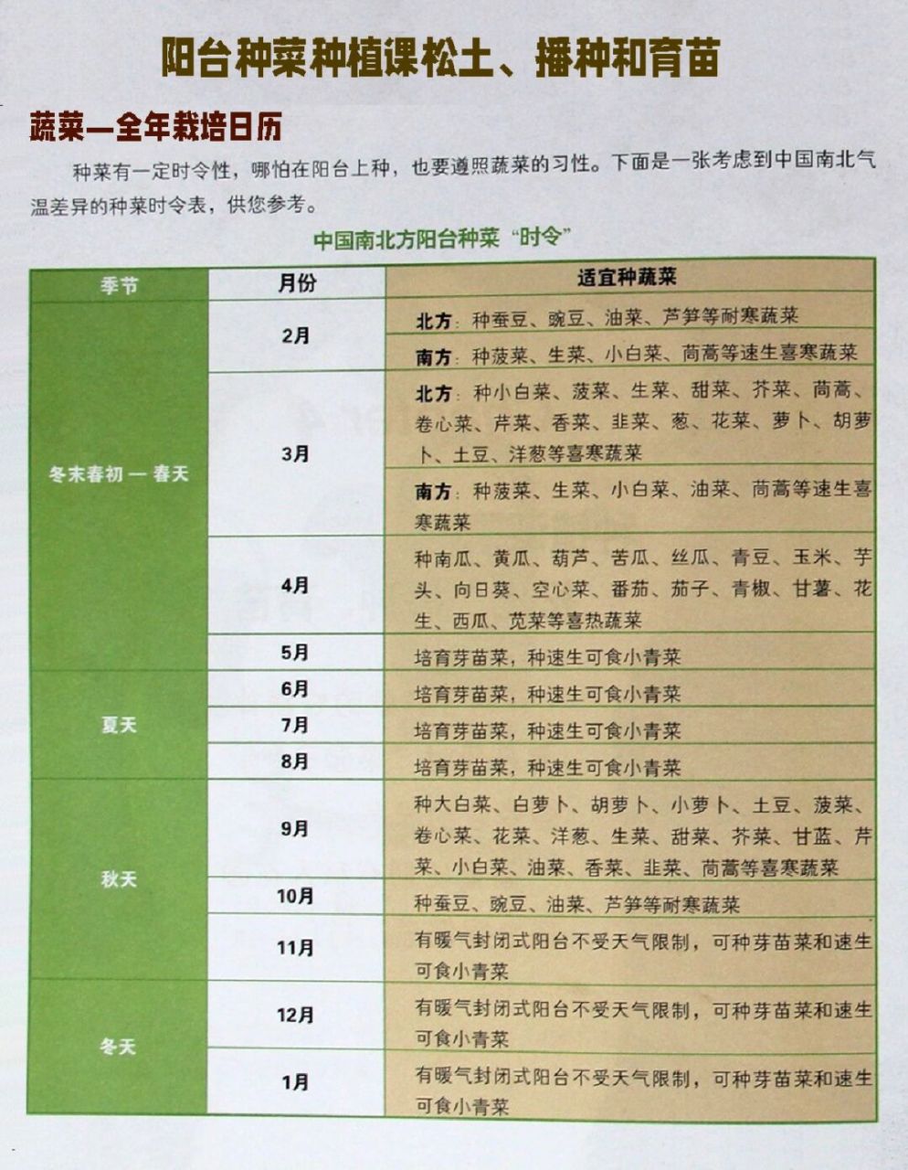 阳台种菜|全年蔬菜栽培日历!