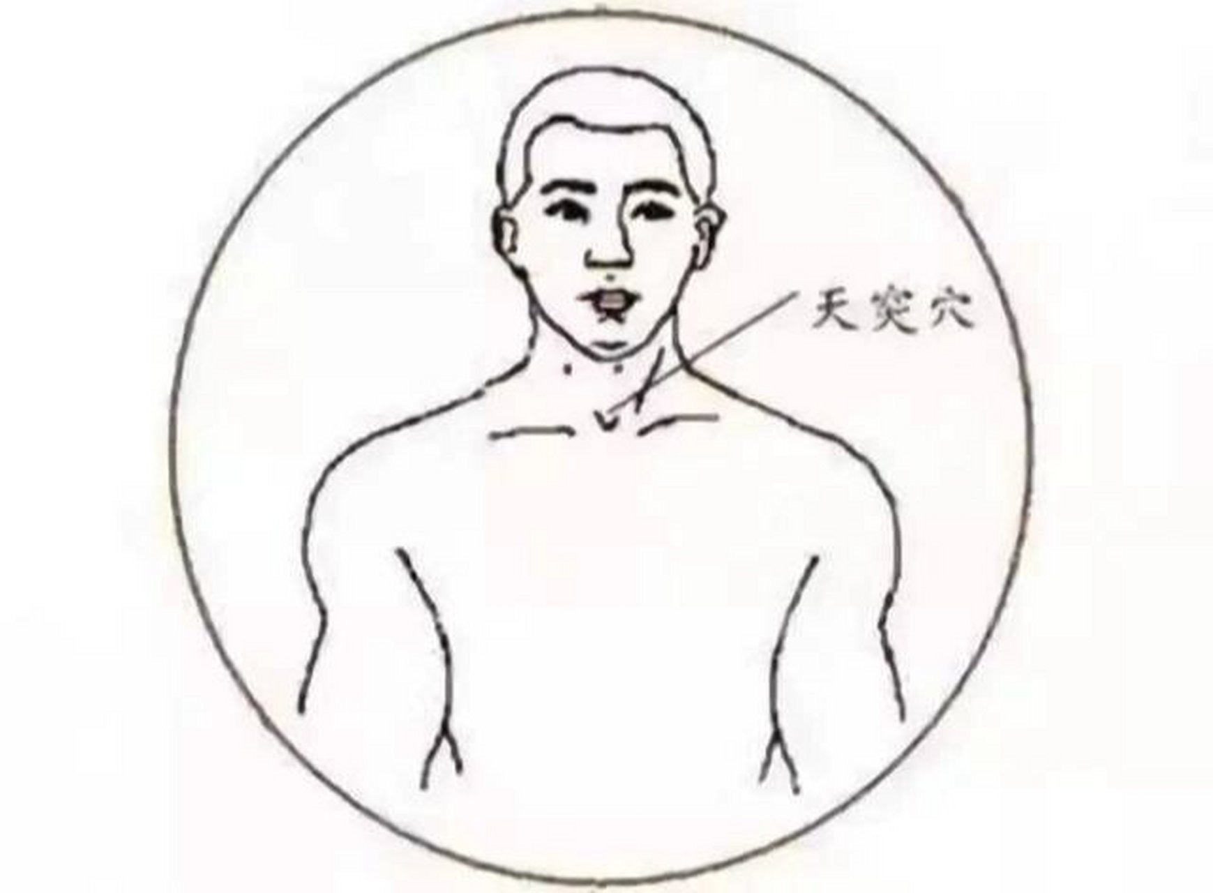 穴位小知识——天突穴 【位置】在颈部,前正中线上,胸骨上窝中央.
