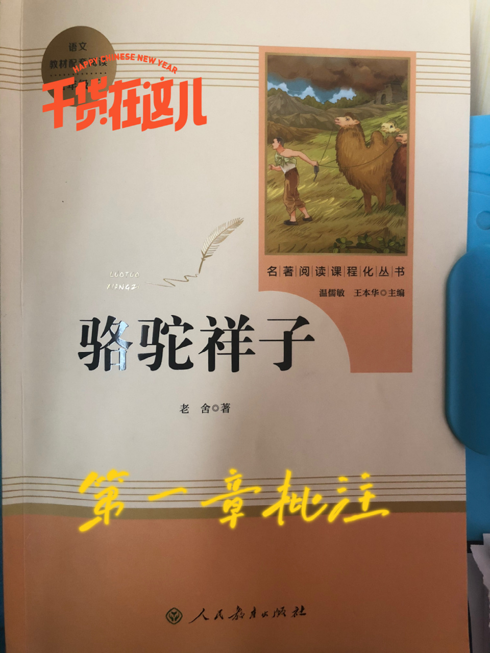 骆驼祥子第一章批注