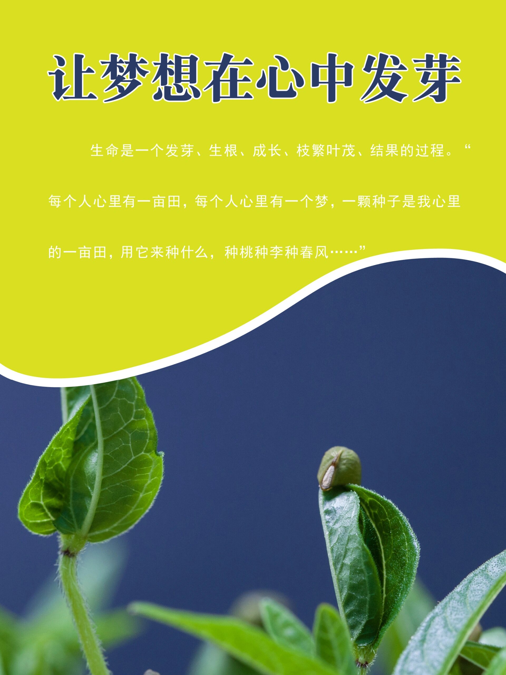 幼儿园办园理念