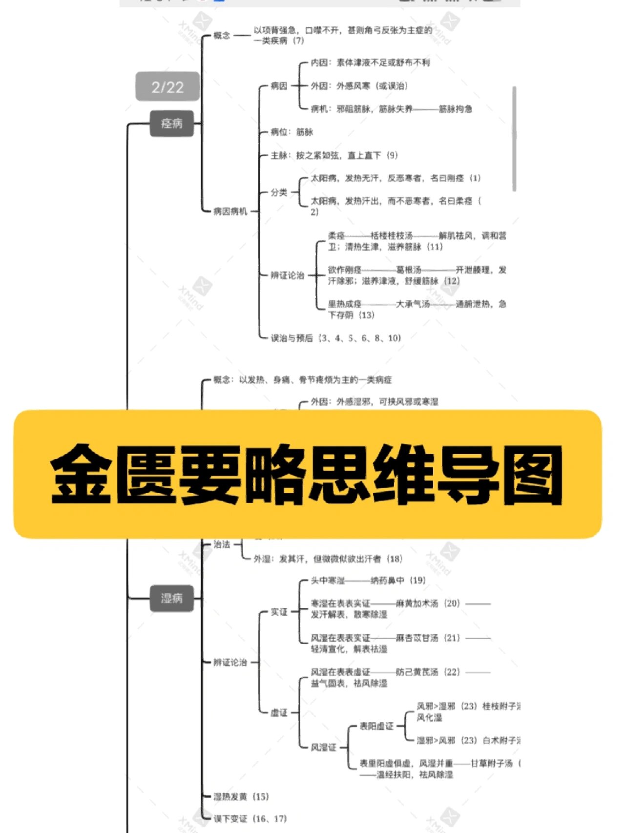 金匮要略总结思维导图图片