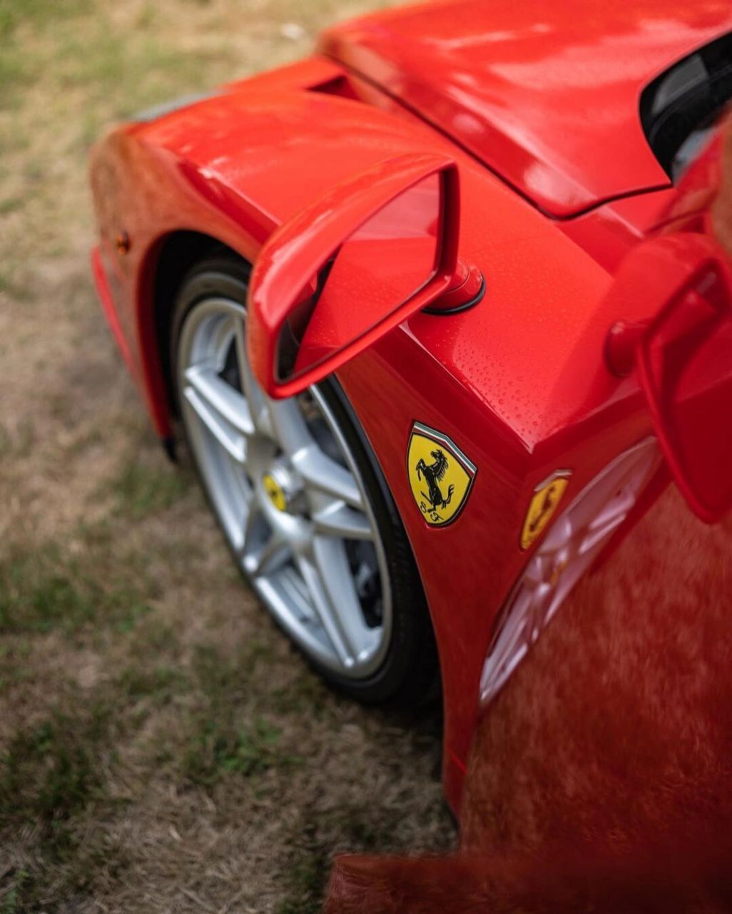 ferrari enzo v12 #法拉利# #法拉利恩佐# rcc飞驰计划 #超跑# #超跑