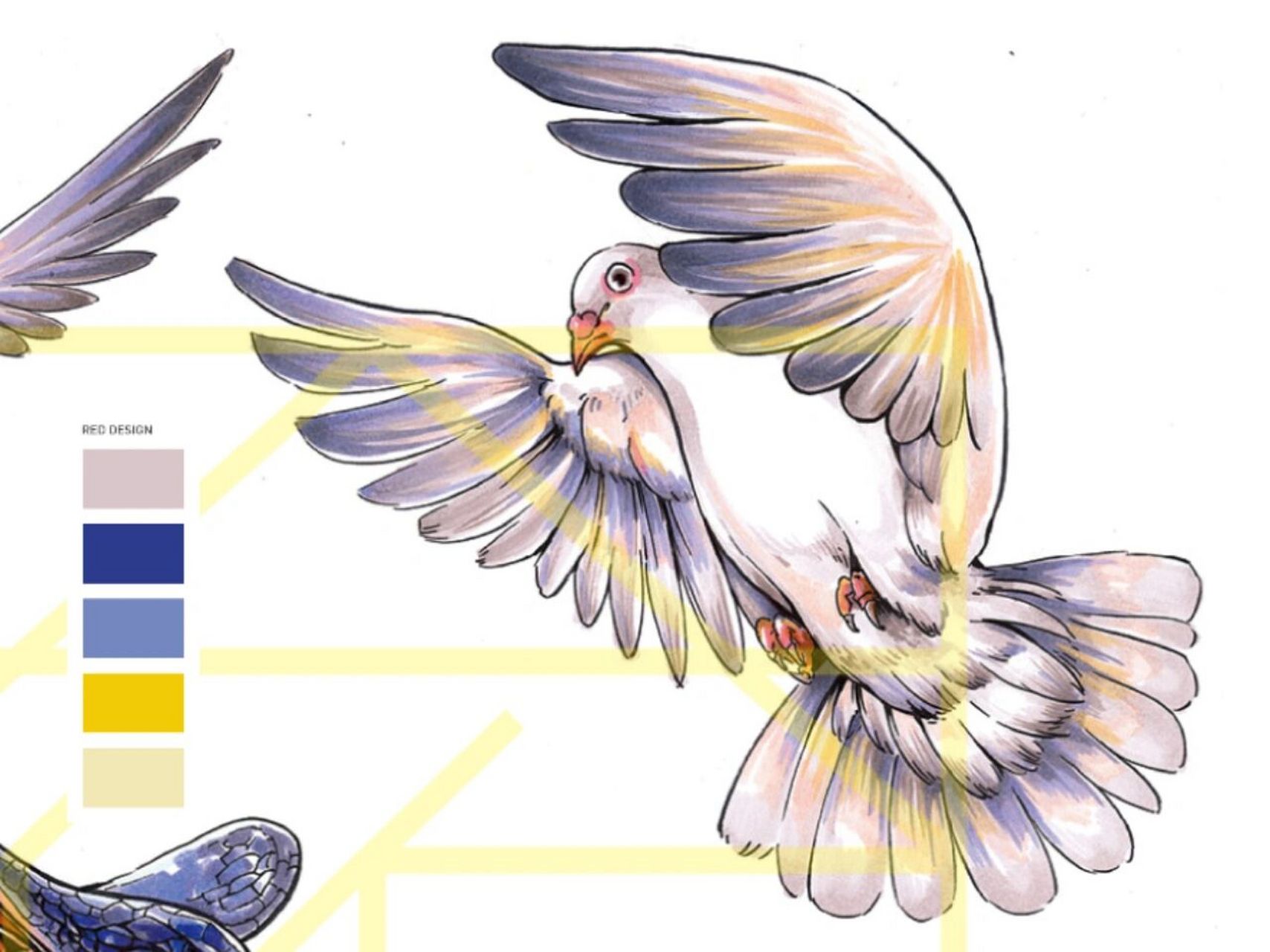 和平鸽丨马克笔手绘素材 正侧面和背侧面的和平鸽 两种展翅形态