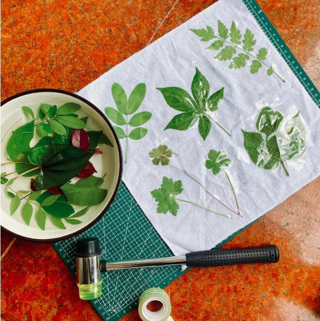 亲子植物拓染-详细教程(建议点赞收藏