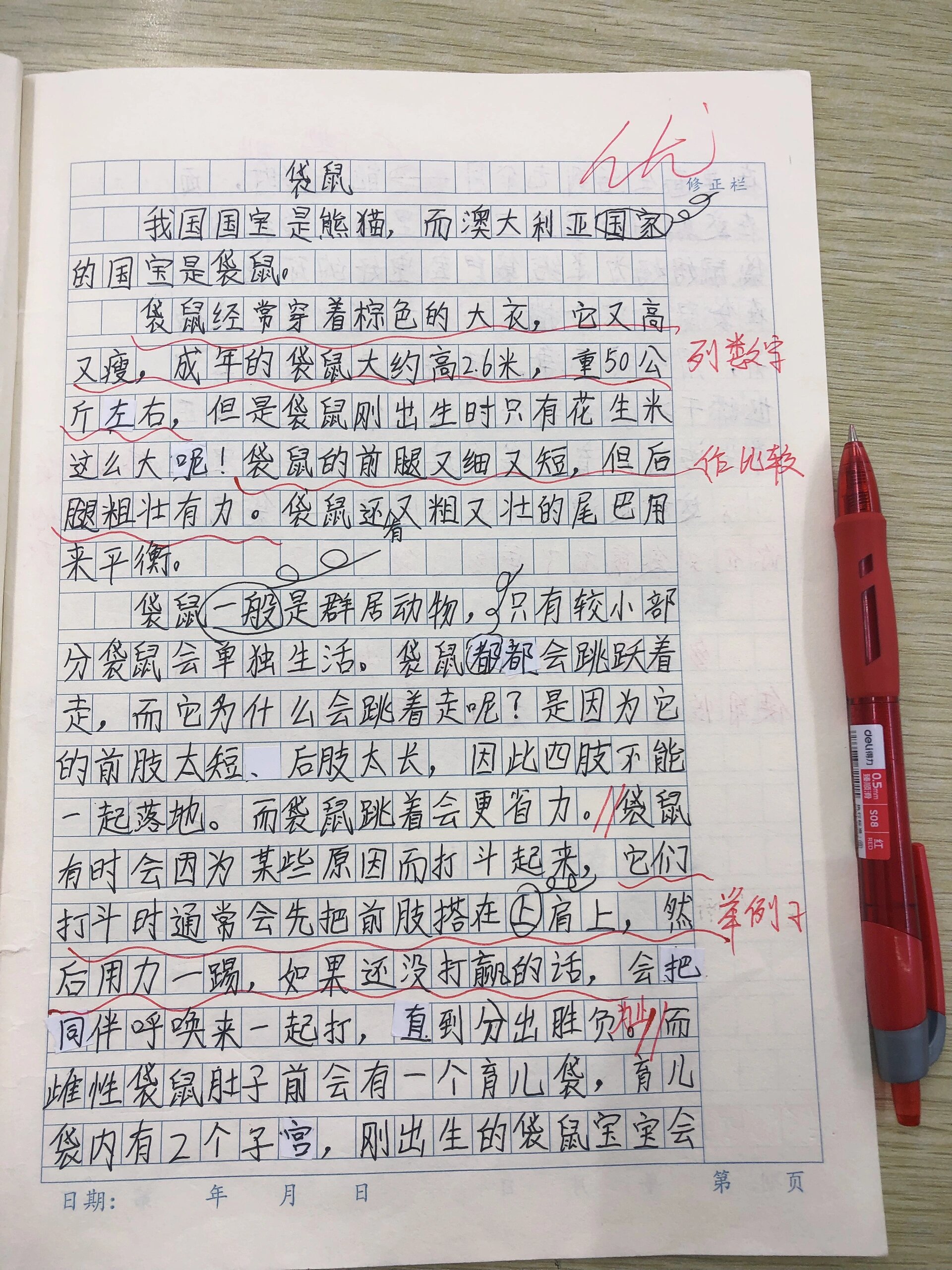 说明文450字图片