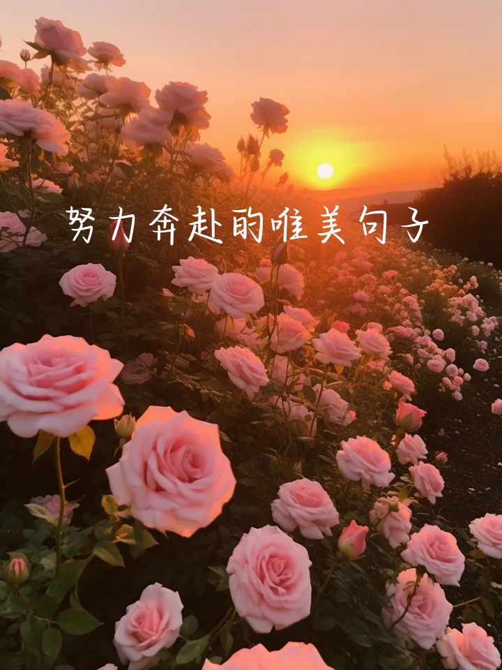 坚持不懈地努力,奔赴心中的远方. 3. 勇敢地向着目标奔赴,无畏风雨