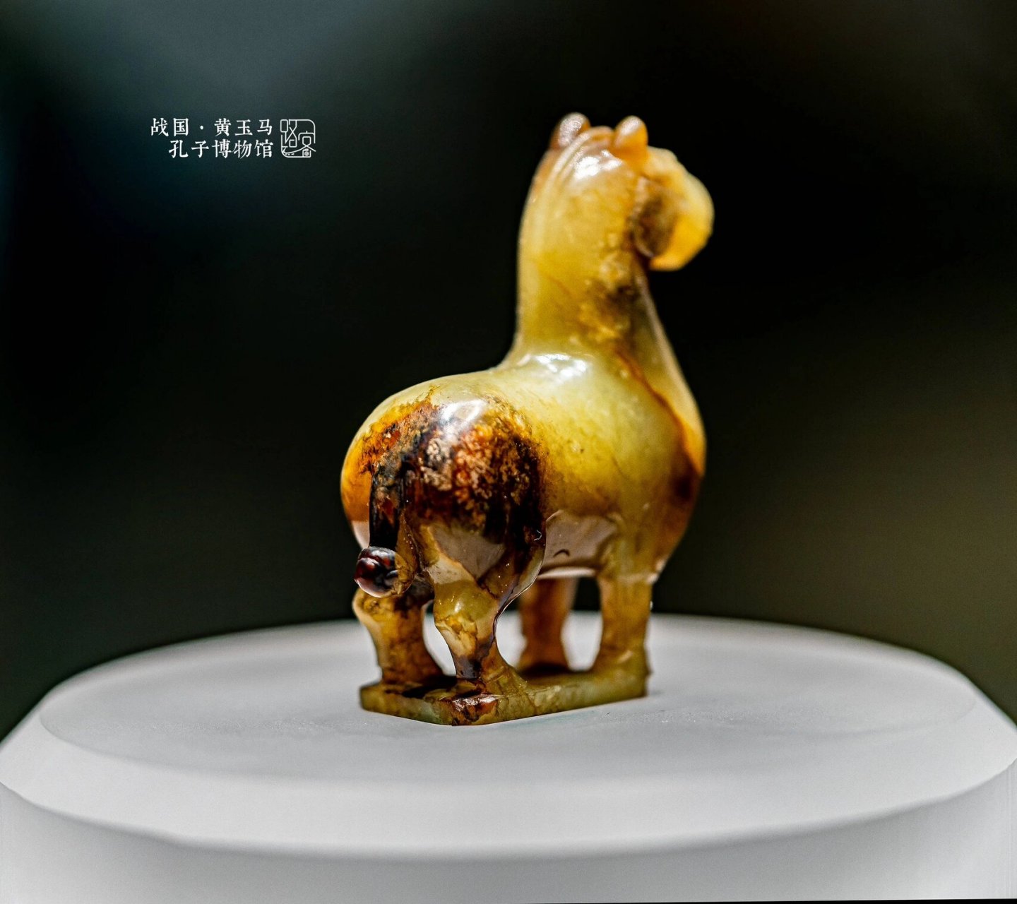 孔子博物馆·黄玉马 战国·黄玉马 摄于: 通长4.5厘米,宽1.