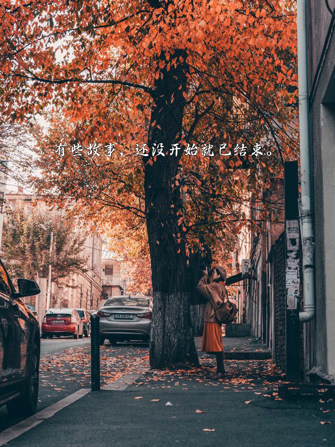 1. 有些故事,还没开始就已结束.