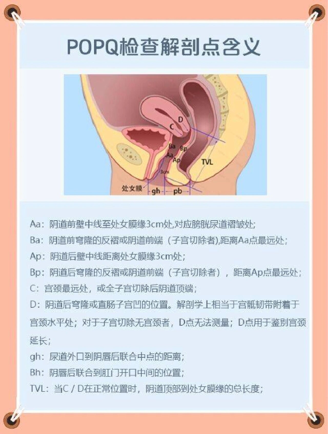 膨出脱垂程度判断,看看你在哪种程度 产后42天检查通常会有膨出脱垂