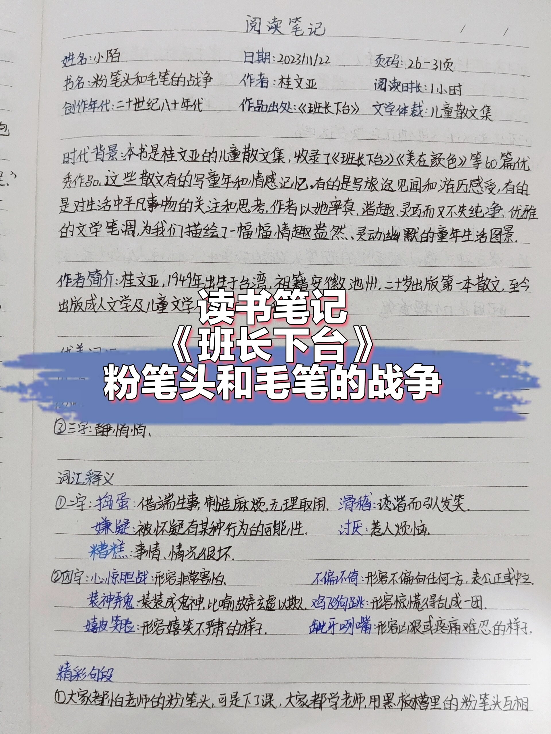 蓝帽子曹文轩读书笔记图片