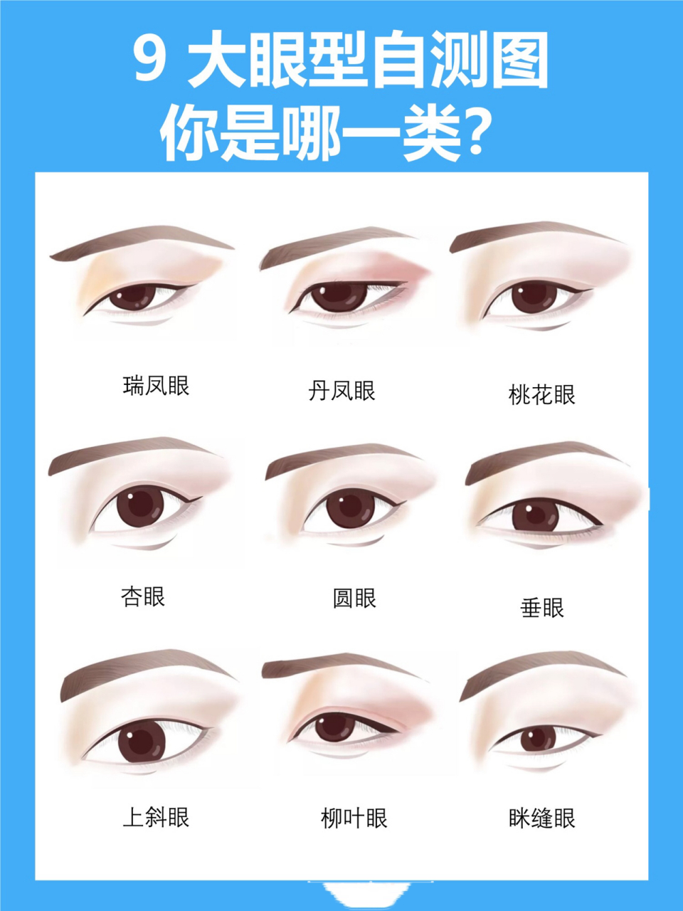 最全眼型分类|快来看看你属于哪类6315 99lil