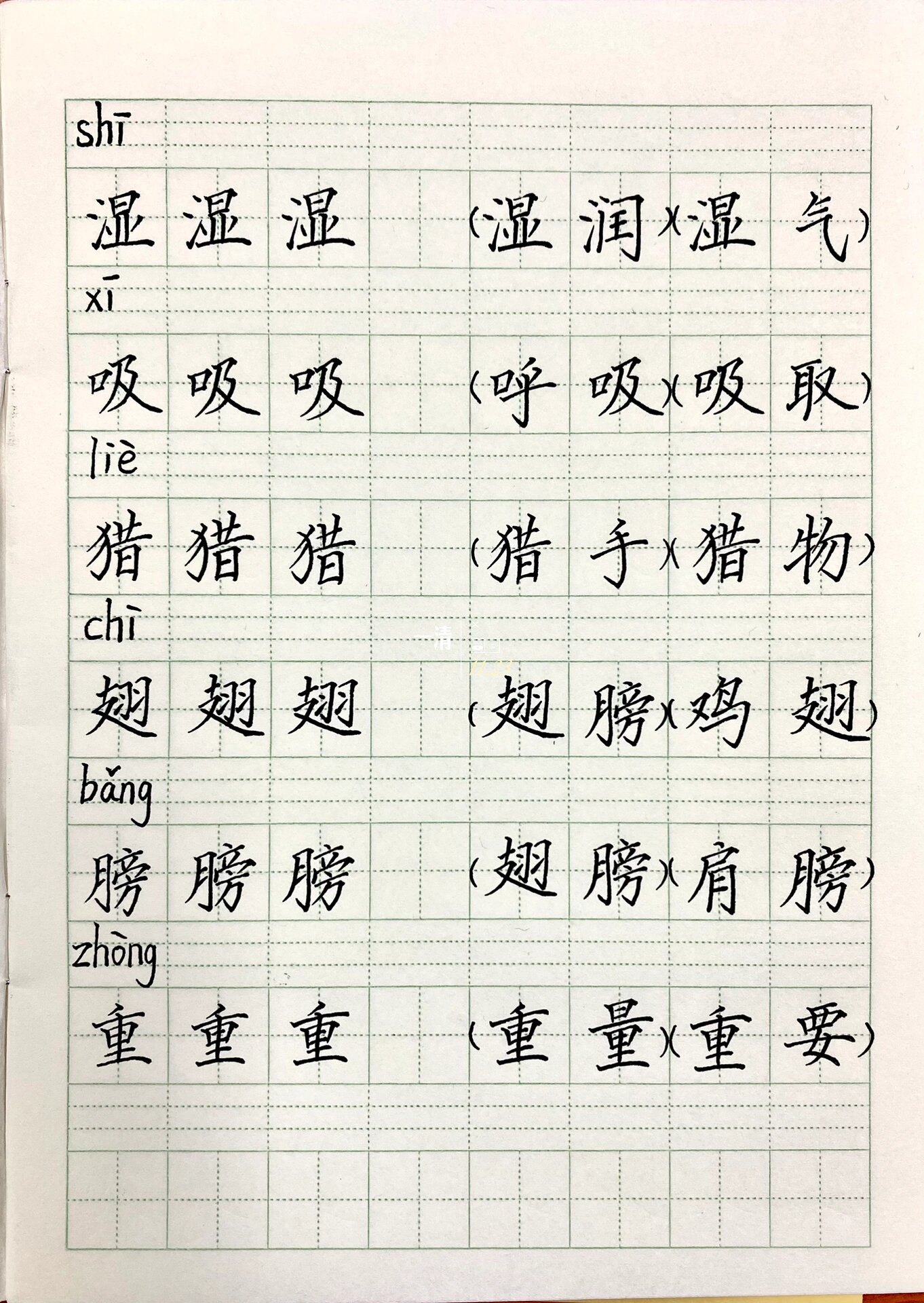 三年级语文上册23课《父亲树林和鸟》 三年级语文上册第23课生字组词