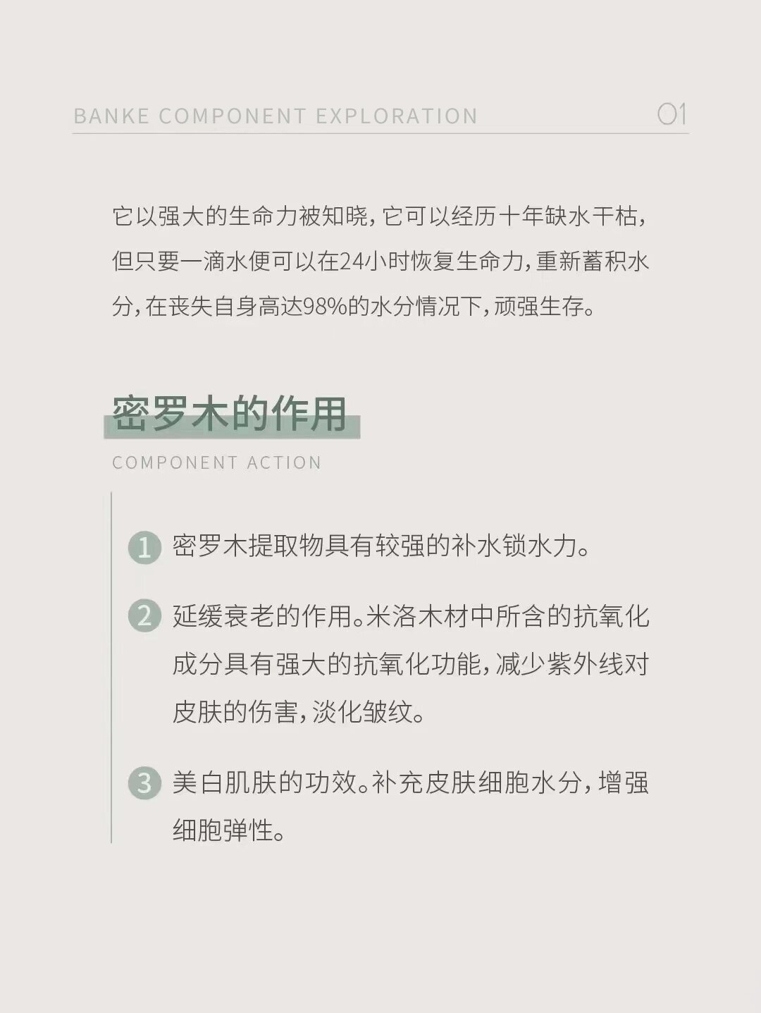 密罗木提取物图片