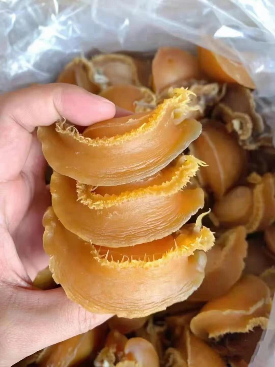 温州特产海鲜干货