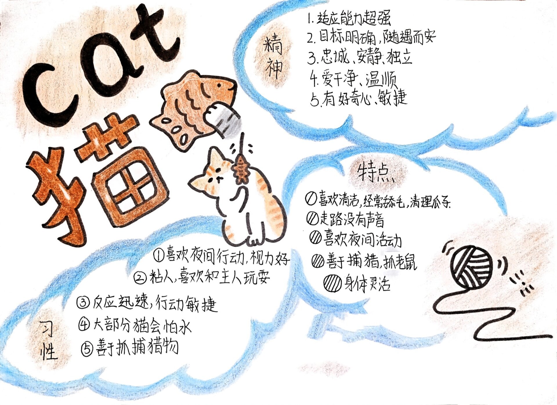 小猫咪手抄报1033