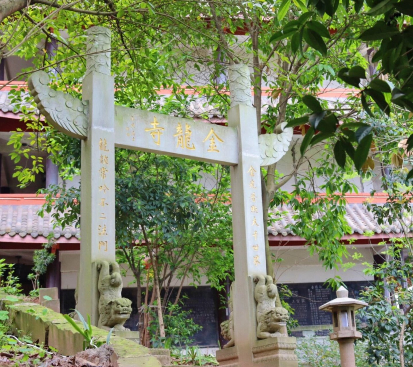 打卡泸州/金龙寺91 靠山临岩,上朔千年,历史悠久,幽深古刹,夏日金龙