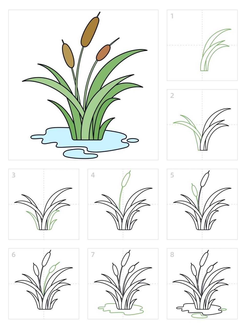 芦花简笔画图片