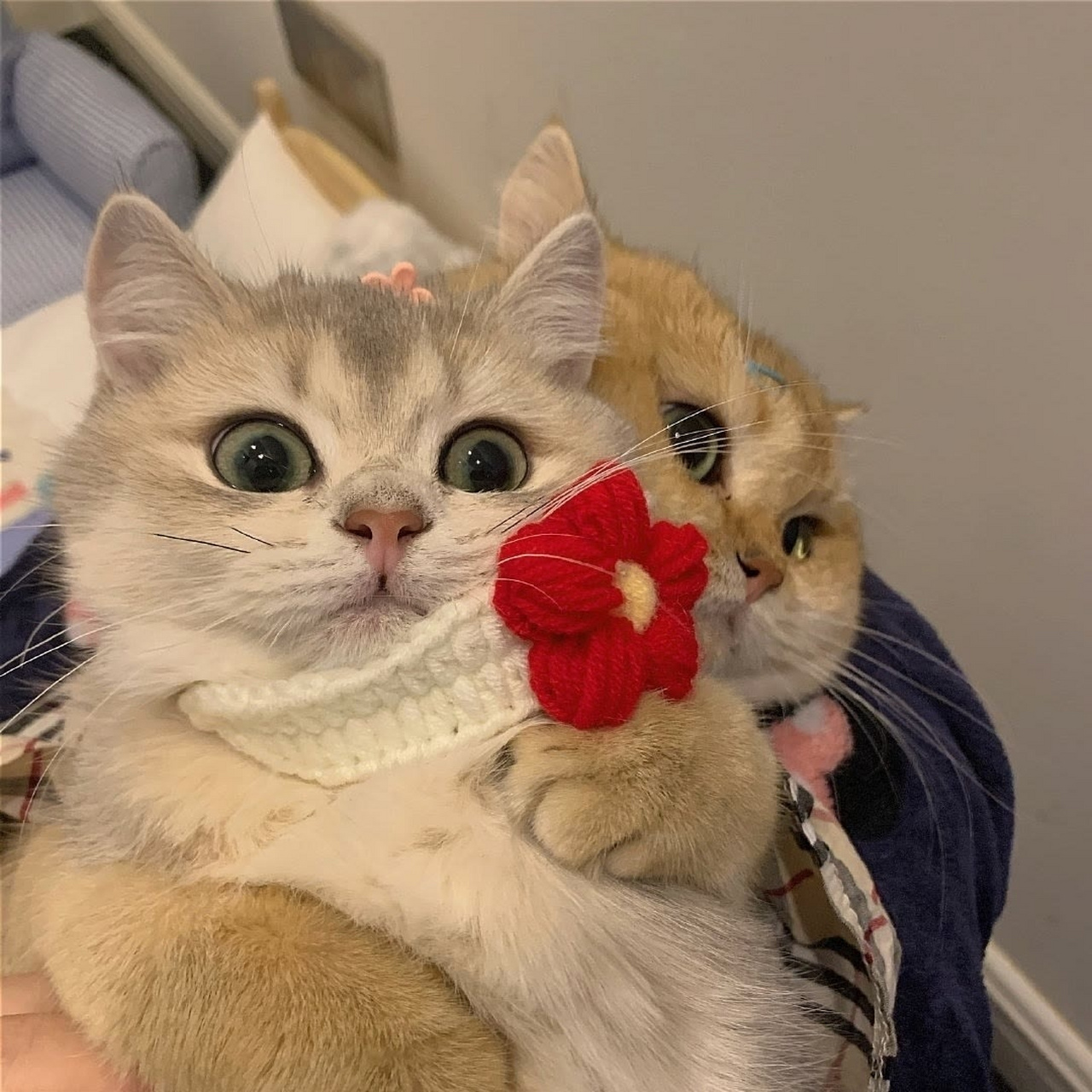 情侣头像 | 超甜微信情侣头像无水印自取 第一组:干饭人,干饭魂78