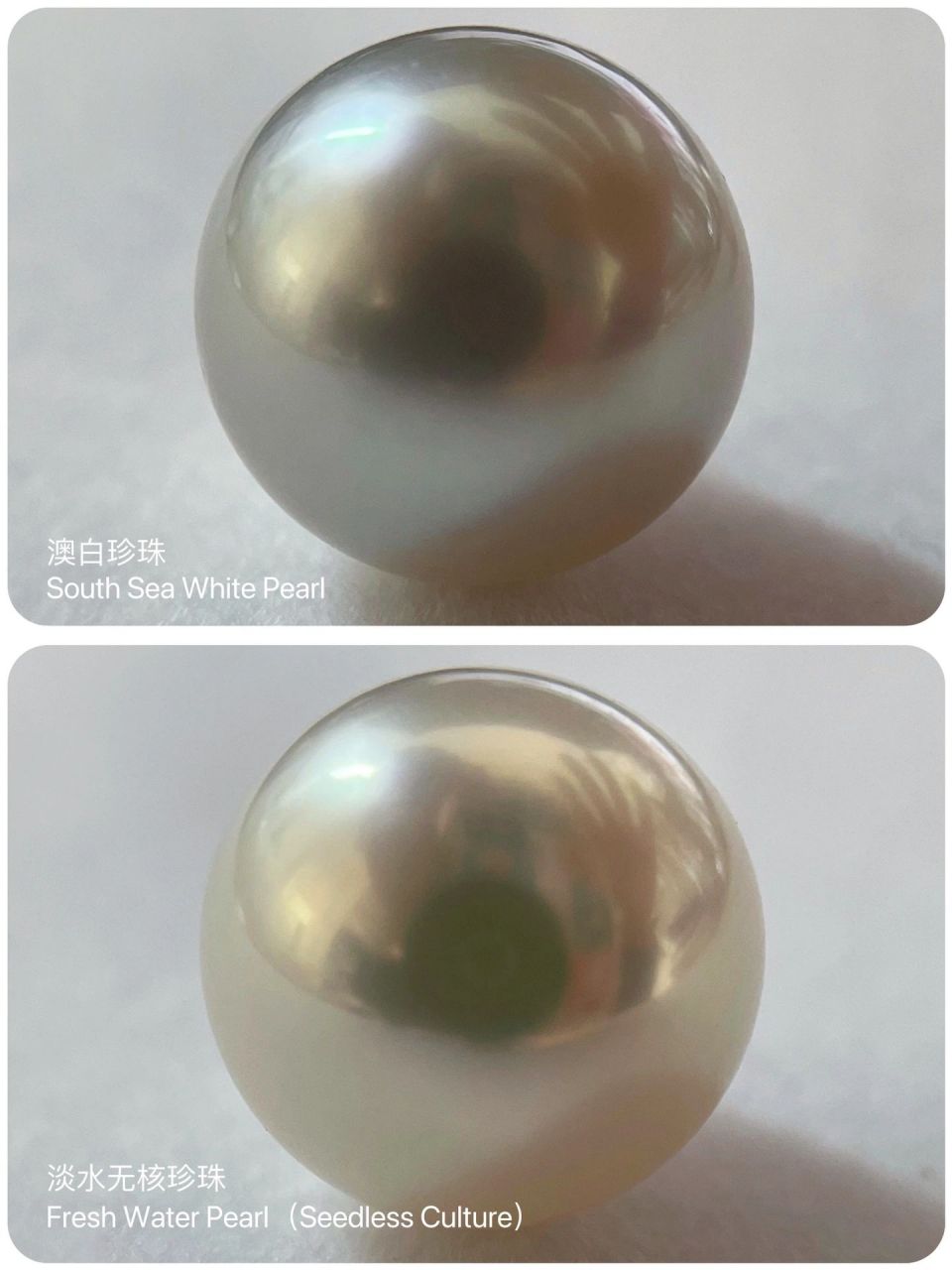 92一分钟分辨"澳白"|国检珍珠分级师小  上课啦～同学们坐好!