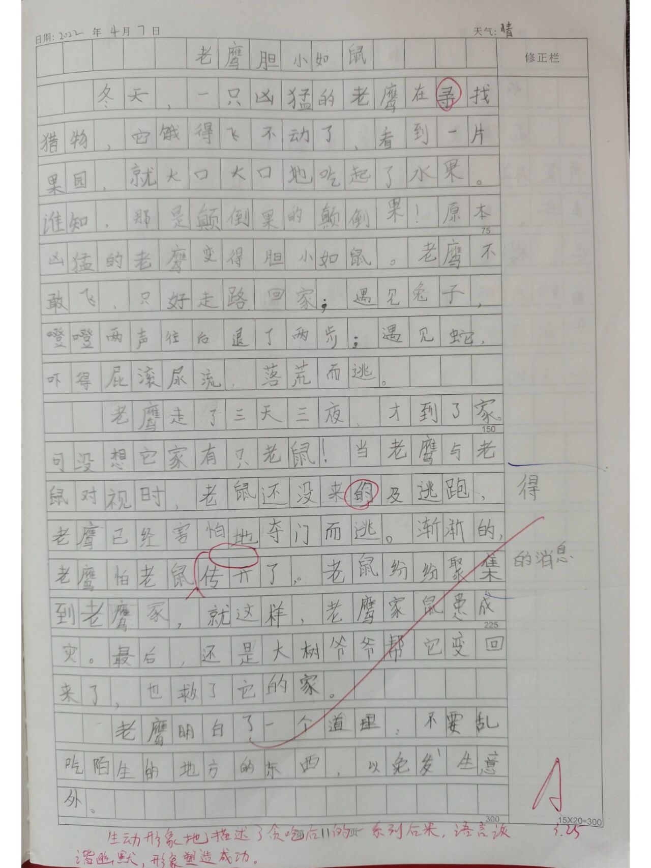 三年级第八单元习作—《老鹰胆小如鼠》   太艰难,终于过关了
