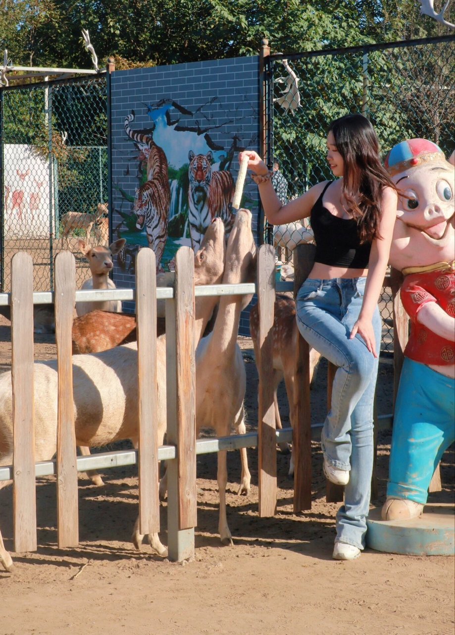 南海子公园(麋鹿苑)游玩攻略 南海子公园真的非常大,推荐大家可以上午