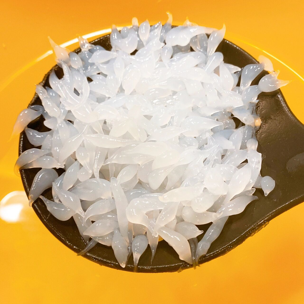 9990夏天里的一碗清爽粉鱼儿| 附做法 老北京叫粉鱼儿 做着很简单