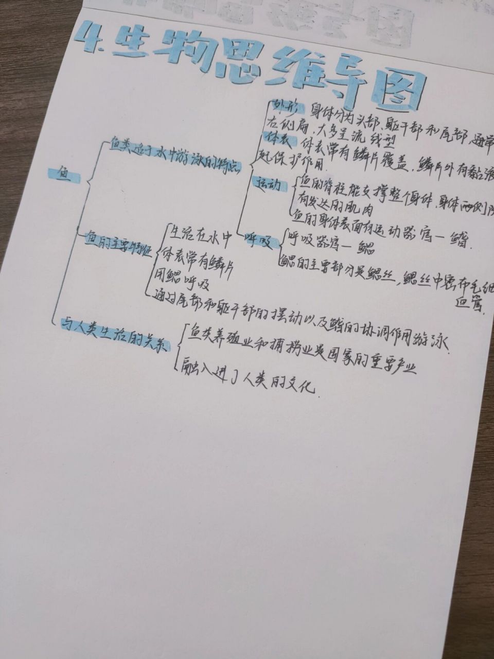 八上生物思维导图4 鱼95(具体内容在生物笔记中有)