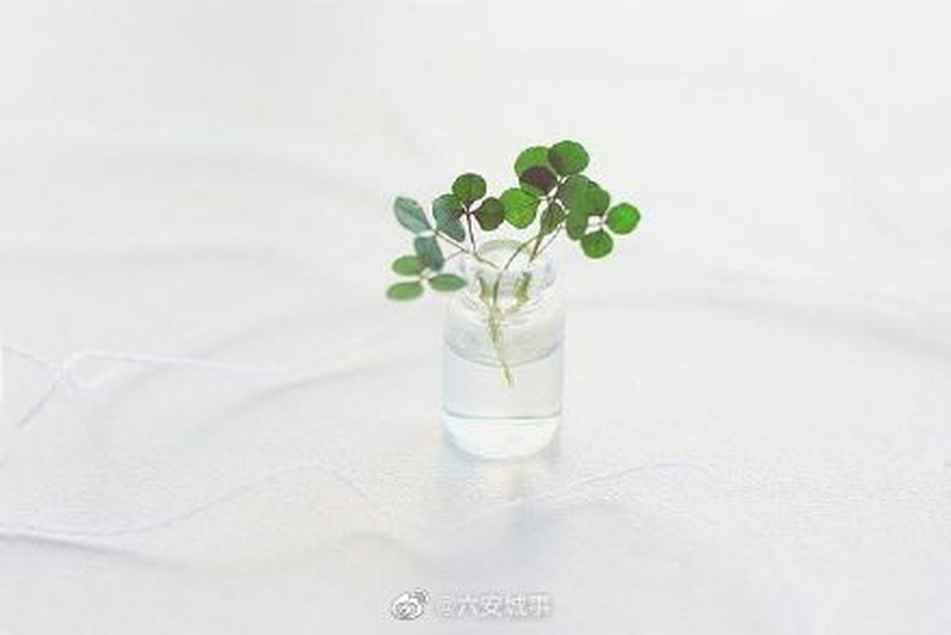 六安记录# people tend to confuse bad decisions with bad luck.